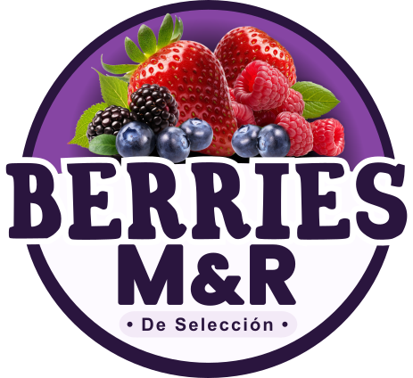 berries ñuble
