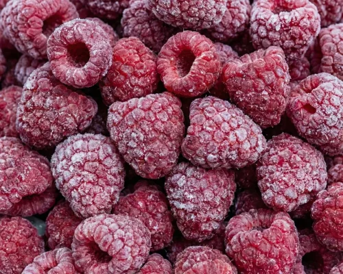 Gemini_Generated_Image_sgl0njsgl0njsgl0 (Grande)